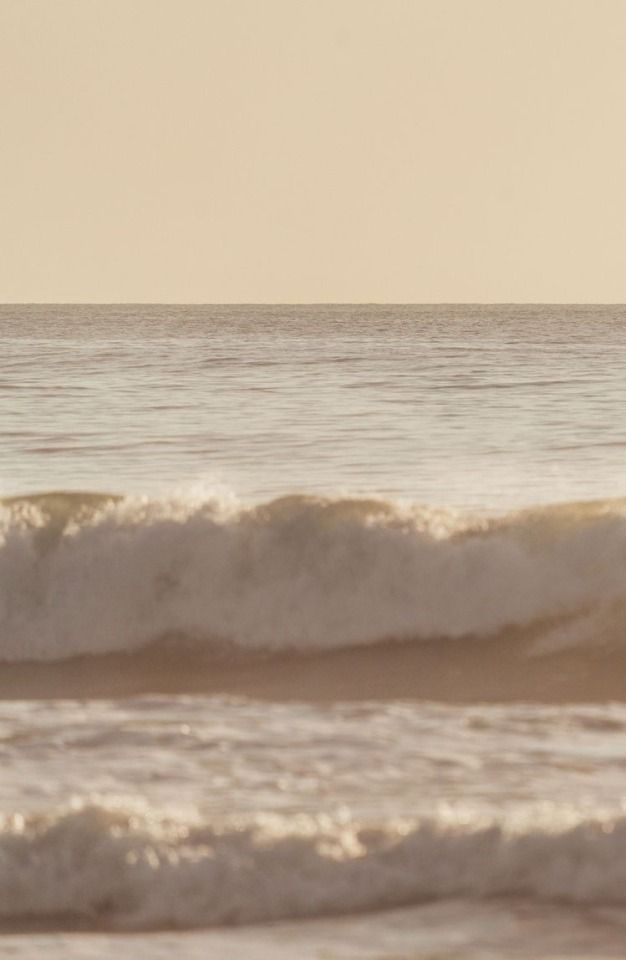 Article n°3 : « Prendre de la hauteur»