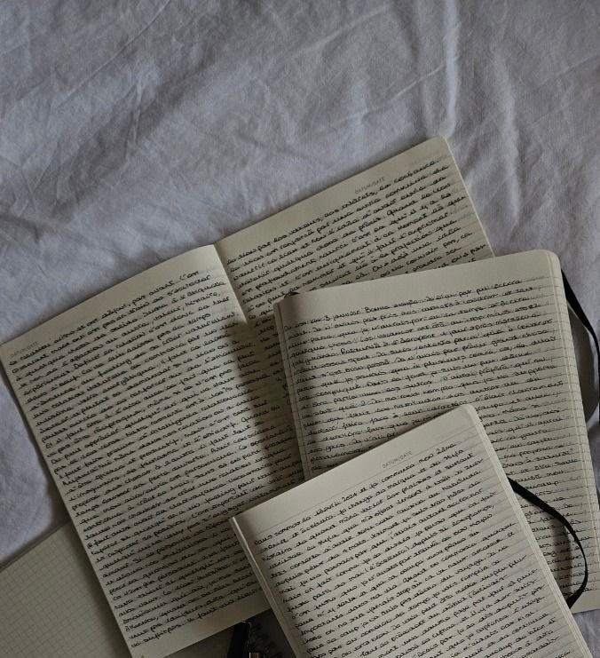 Article n°1 : " Premières lueurs".