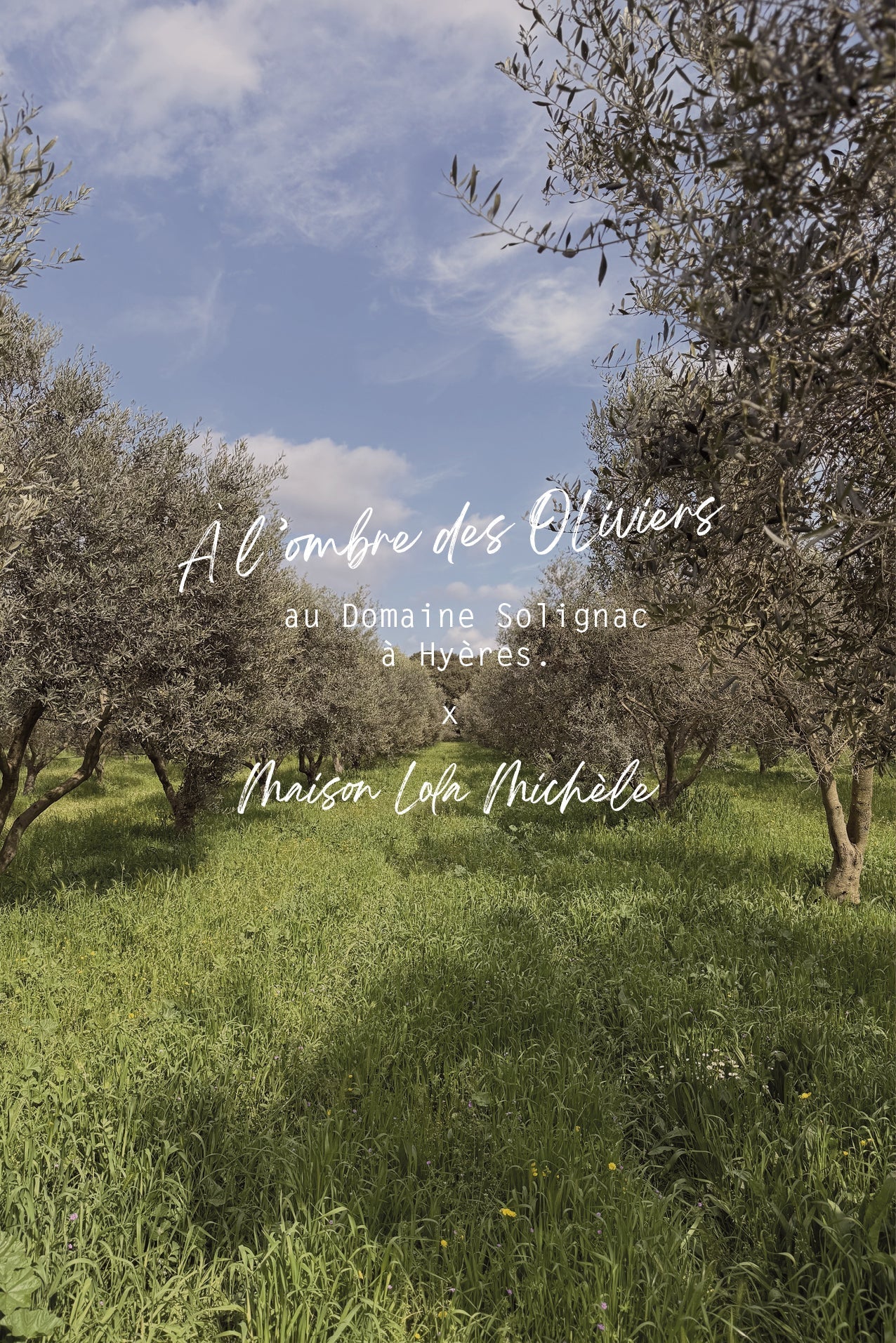 Article n°15 : "À l’ombre des oliviers"
