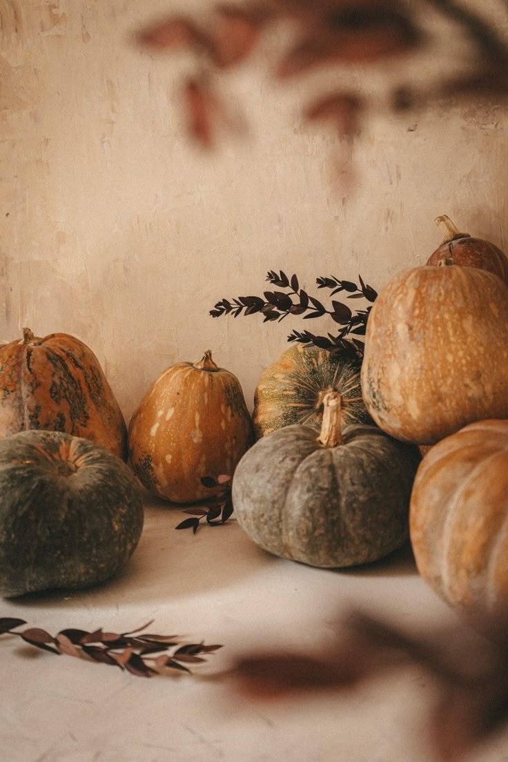 Atelier " Terre d'automne ", poterie en plein air