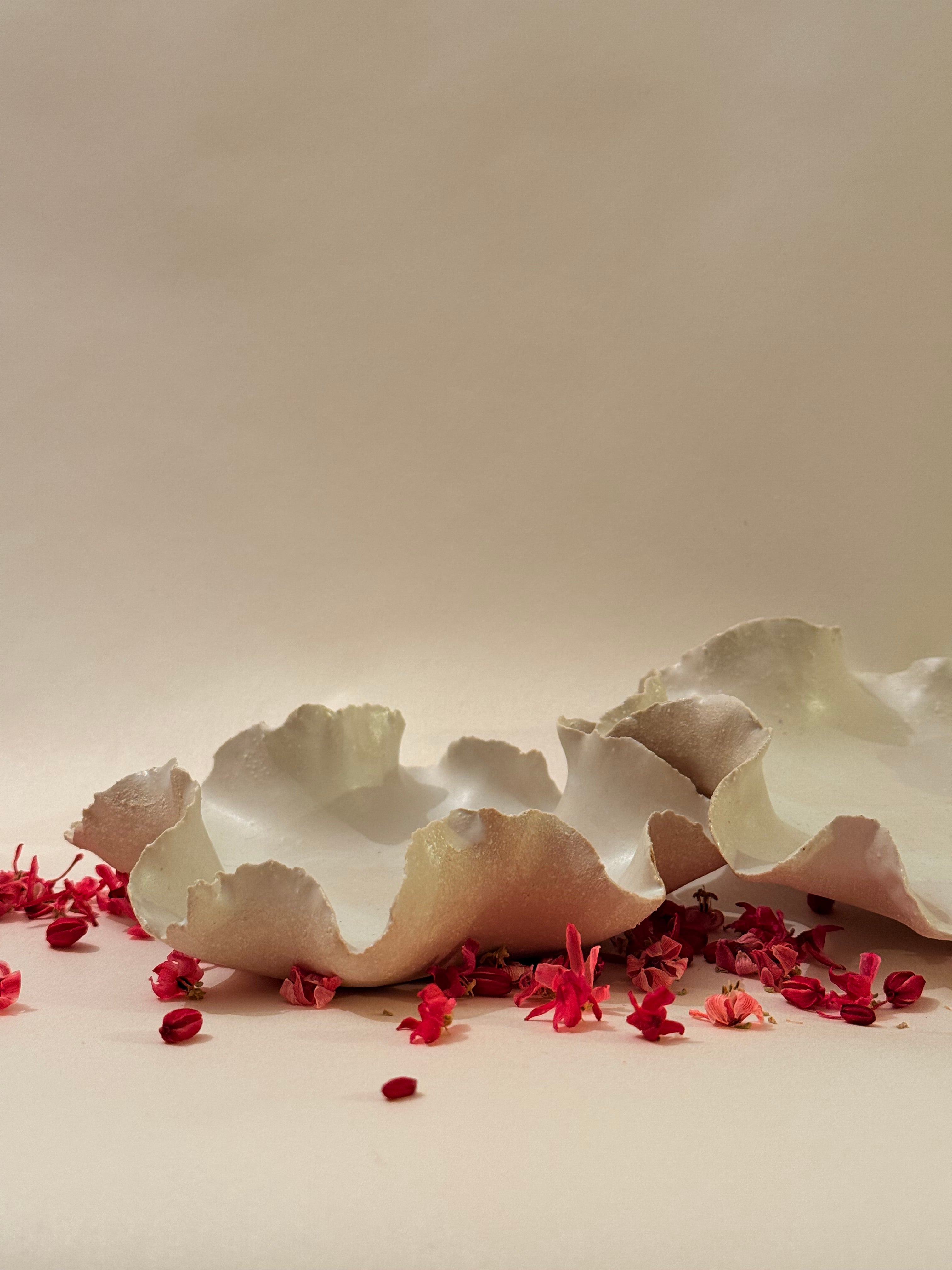 Coupelle « Anémone » - Grès blanc