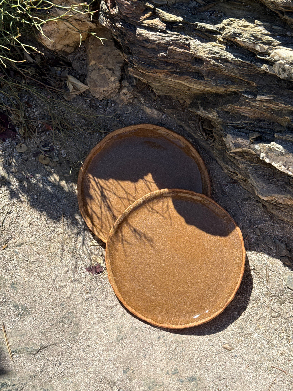 Assiettes plates ø 24cm