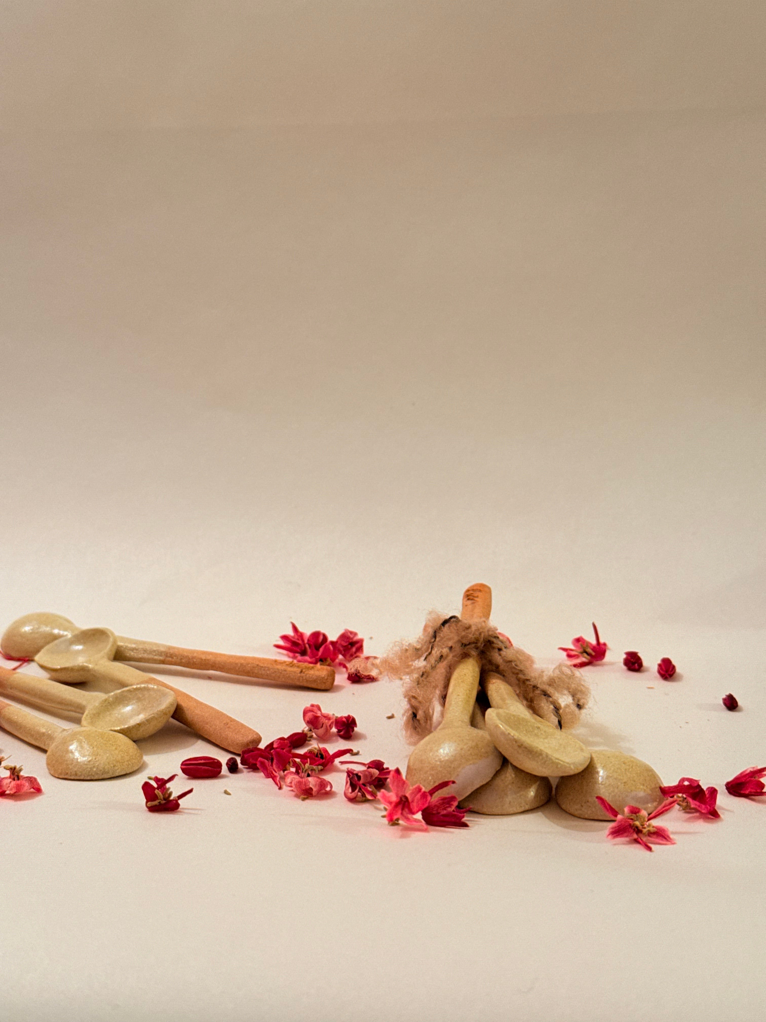 Nomades - Cuillères à Matcha S