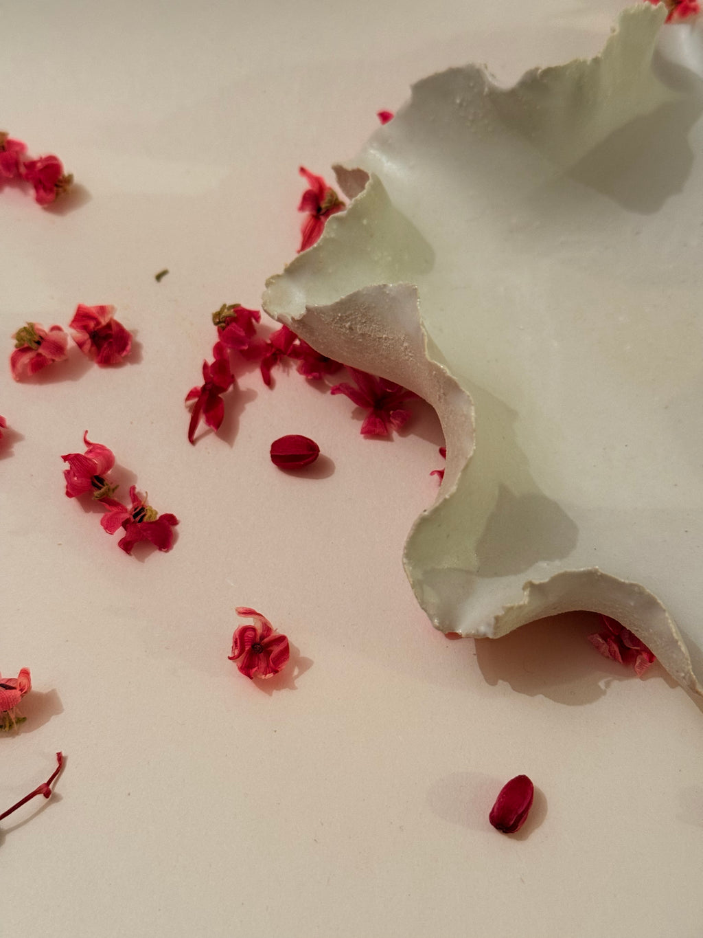 Coupelle « Anémone » - Grès blanc