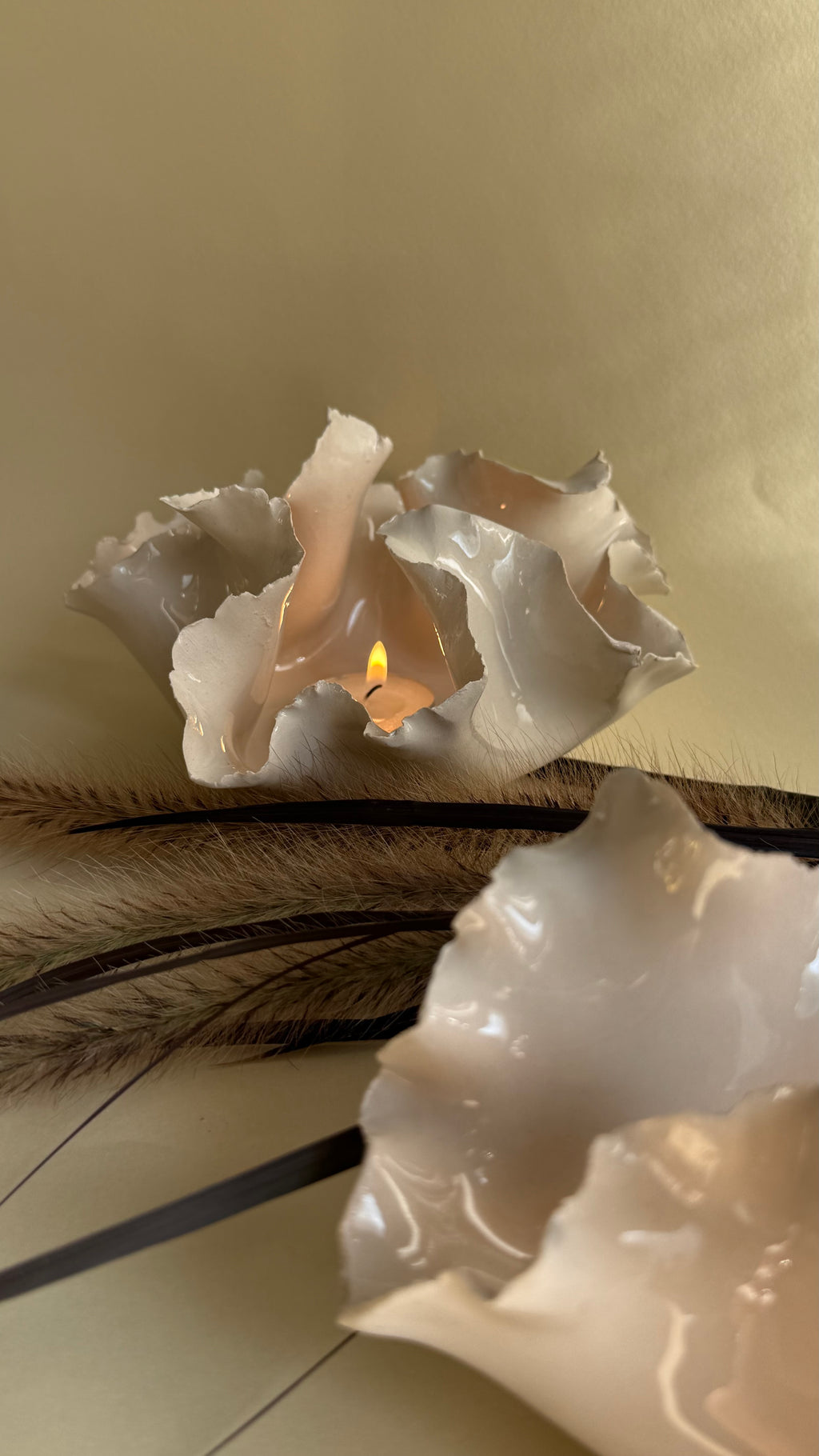 Photophore - Anémone