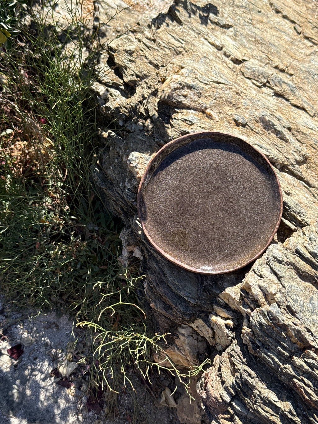 Assiettes plates ø 24cm