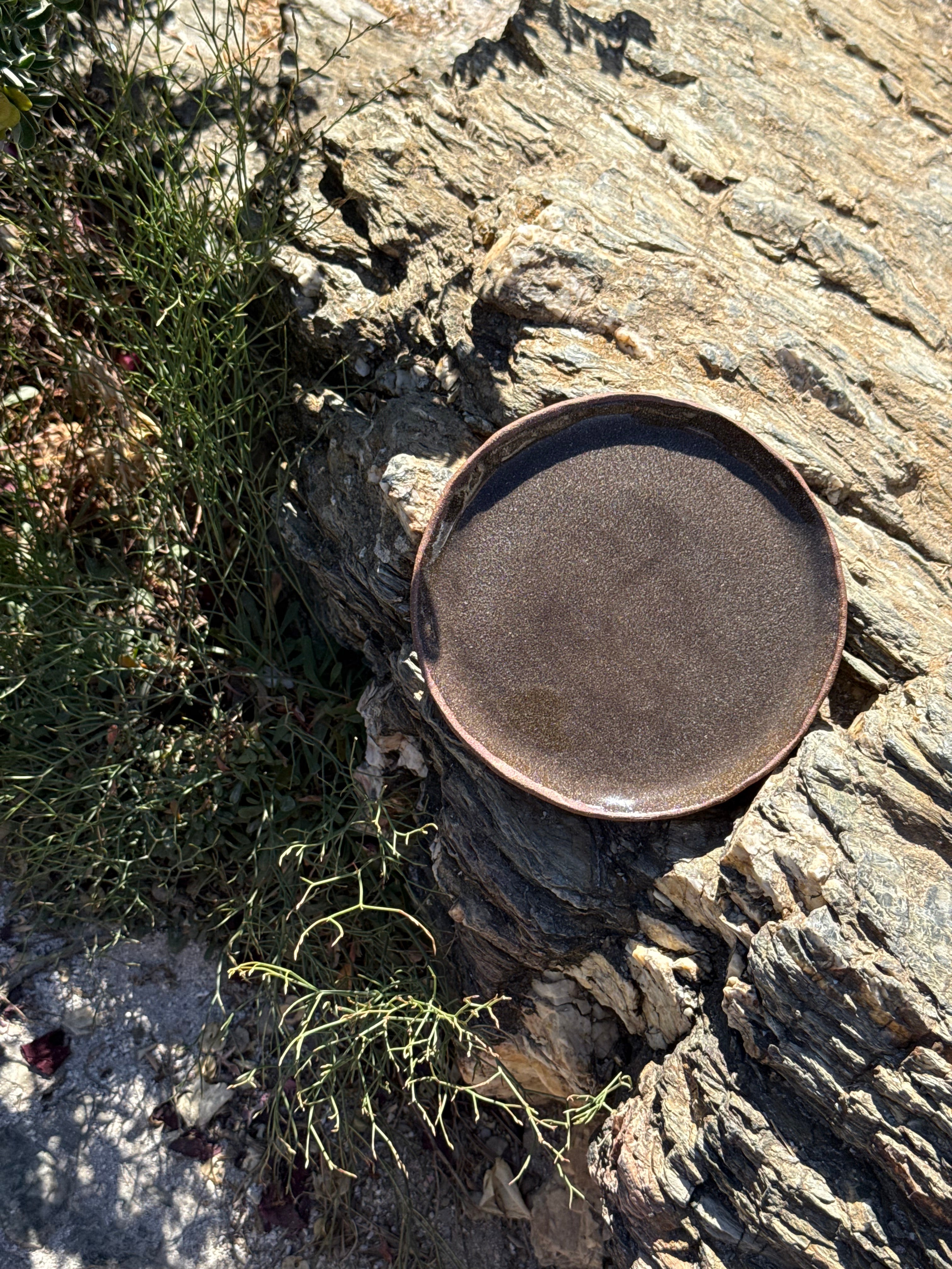Assiettes plates ø 24cm