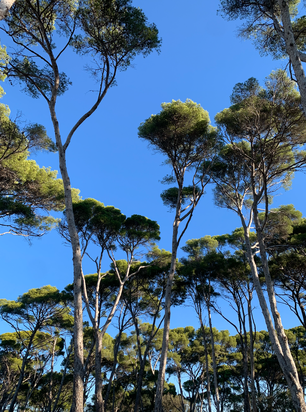 Atelier en plein air, six fours les plages, maison lola michele, poterie, ceramique, mer, nature, meditation, activité, loisirs