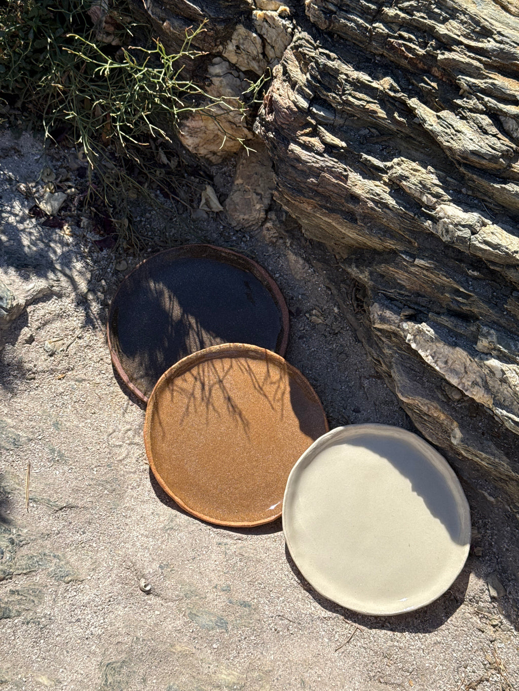 Assiettes plates ø 24cm