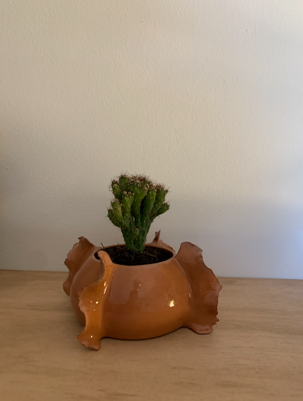 Pot à cactus en faïence – "Le combattant"