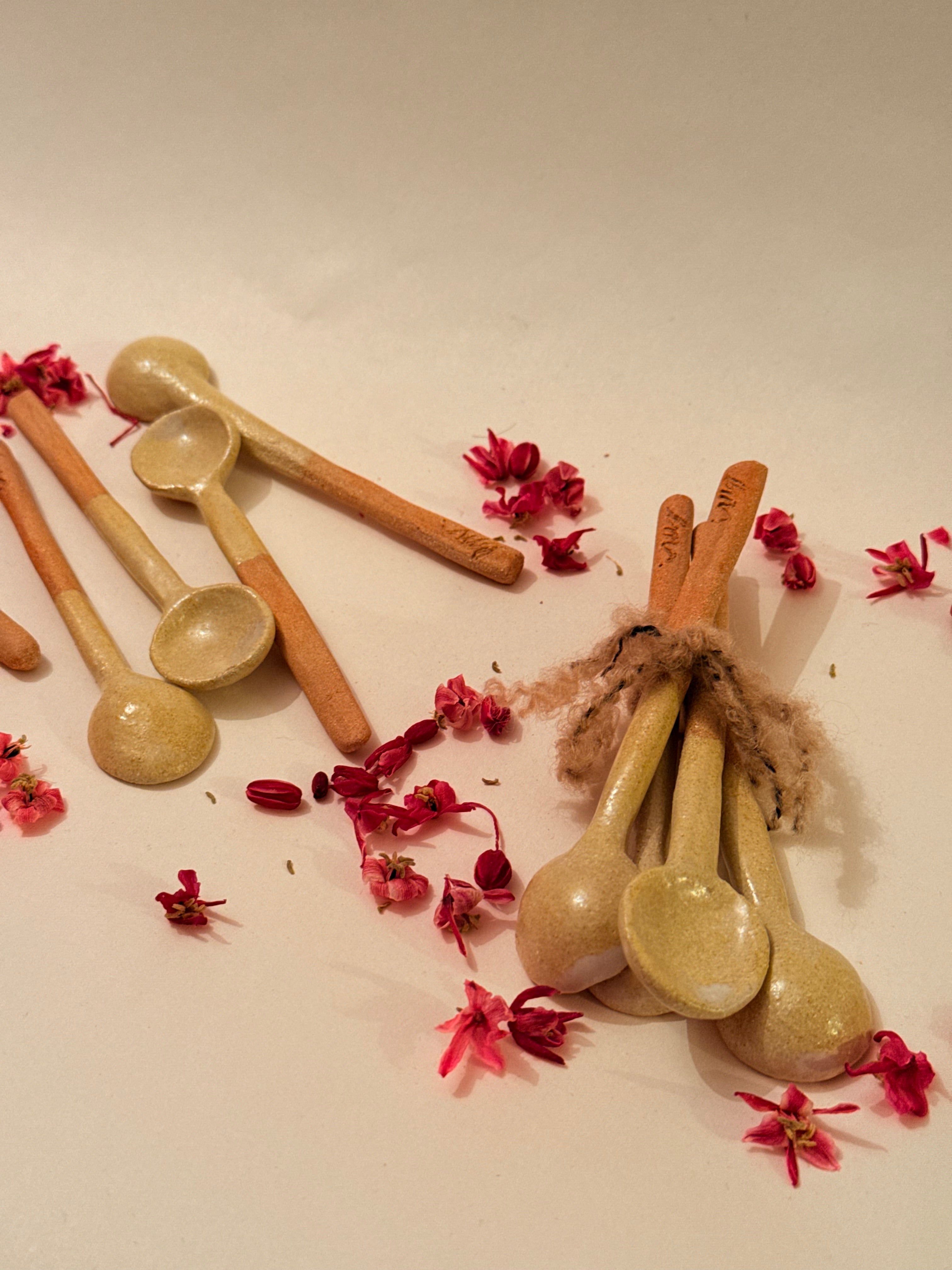 Nomades - Cuillères à Matcha S