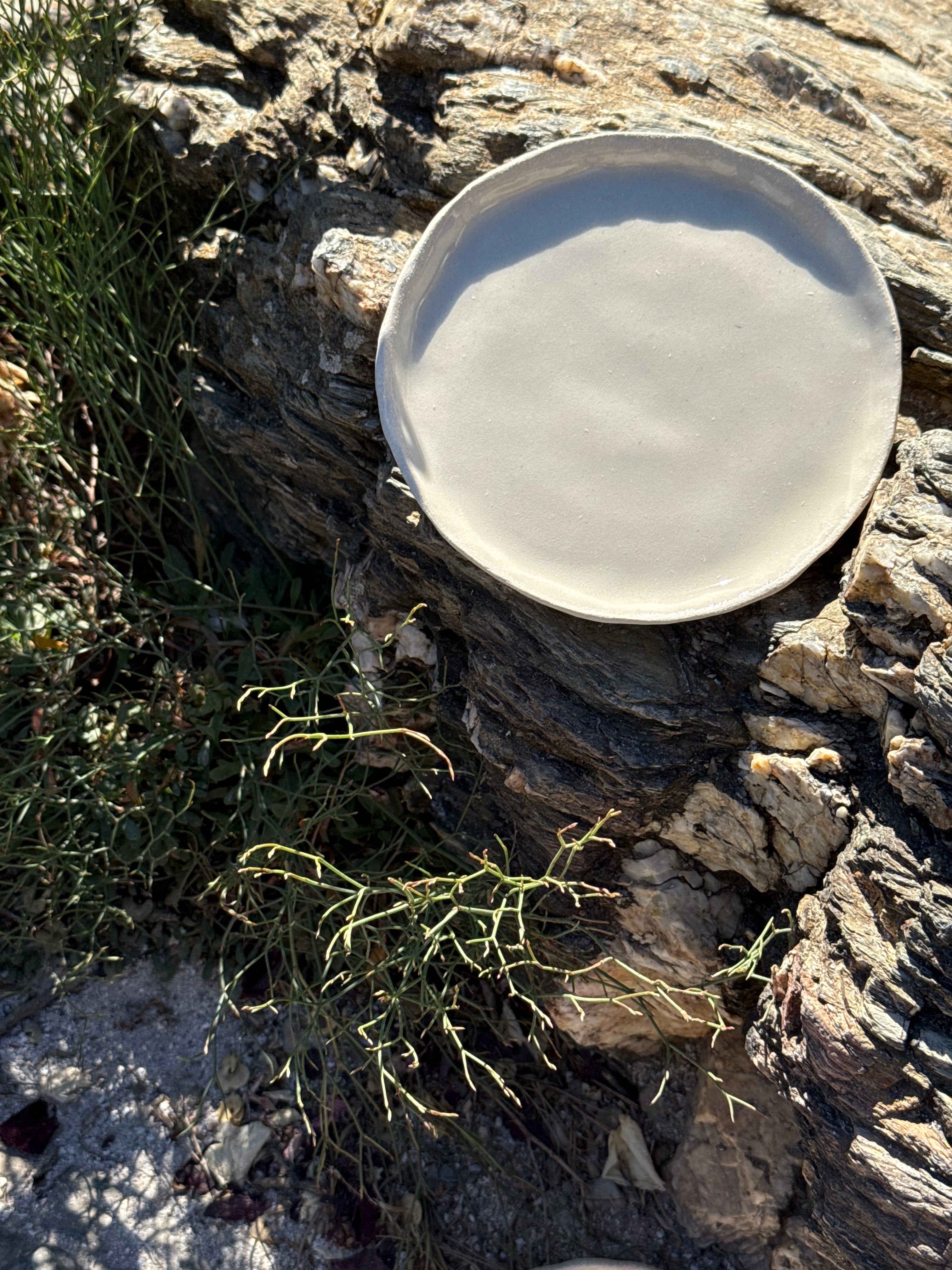 Assiettes plates ø 24cm