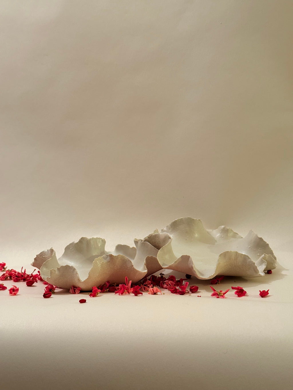 Coupelle « Anémone » - Grès blanc