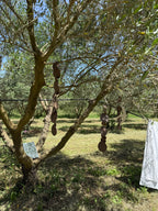 Suspensions « les galets »