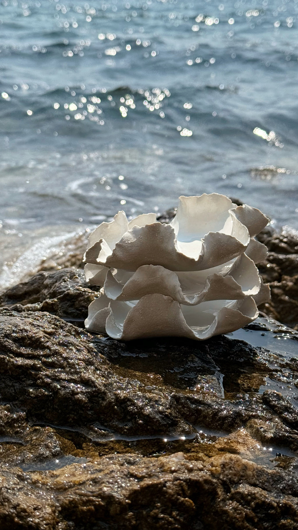 Coupelle « Anémone » - Grès blanc
