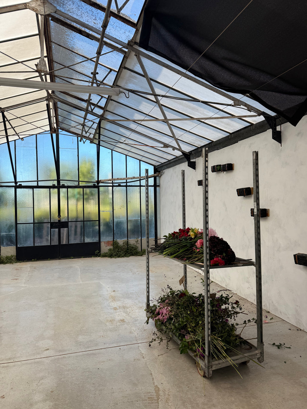 "sous le souffle des fleurs" x L'art qui pousse