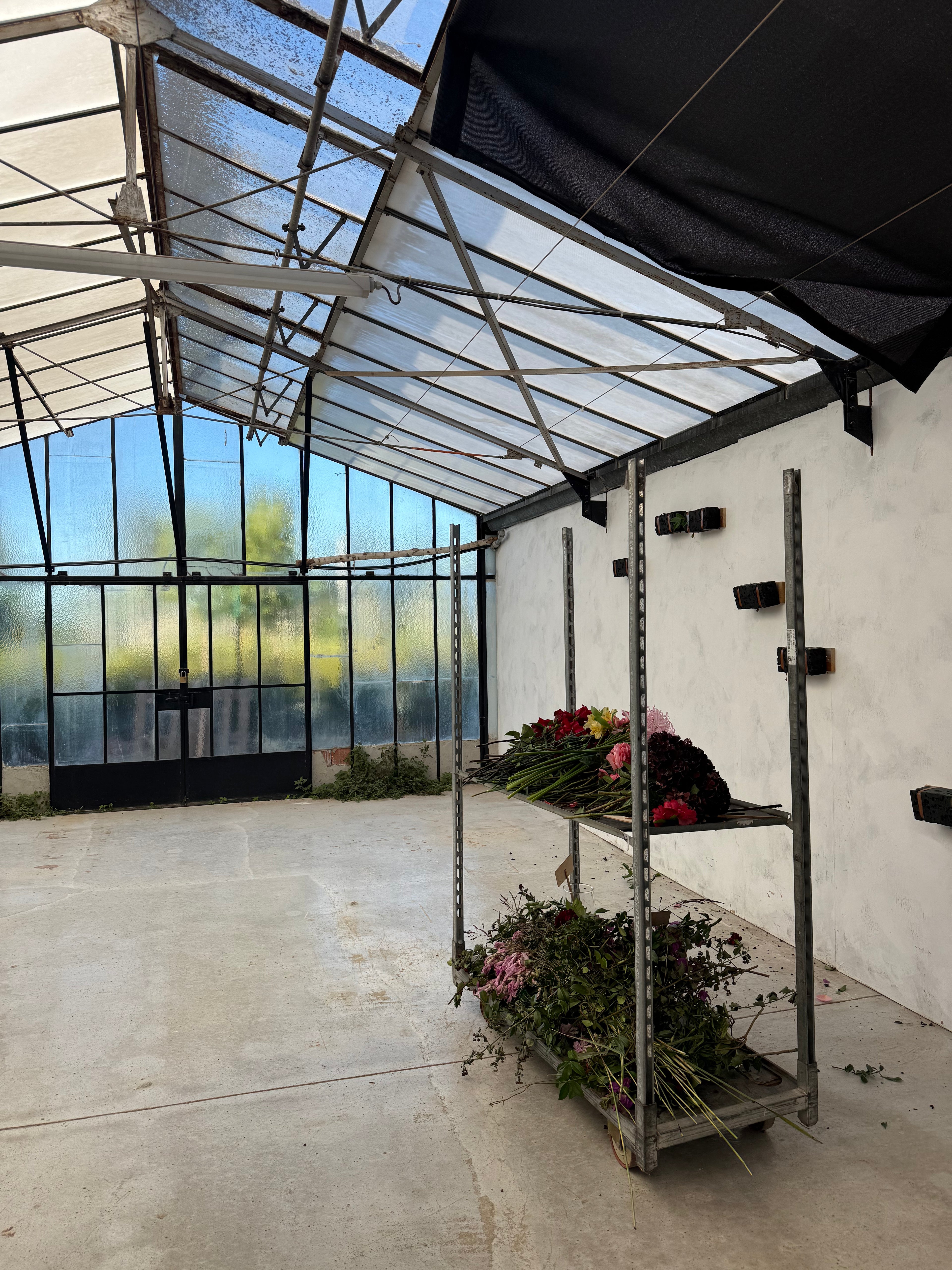 "sous le souffle des fleurs" x L'art qui pousse