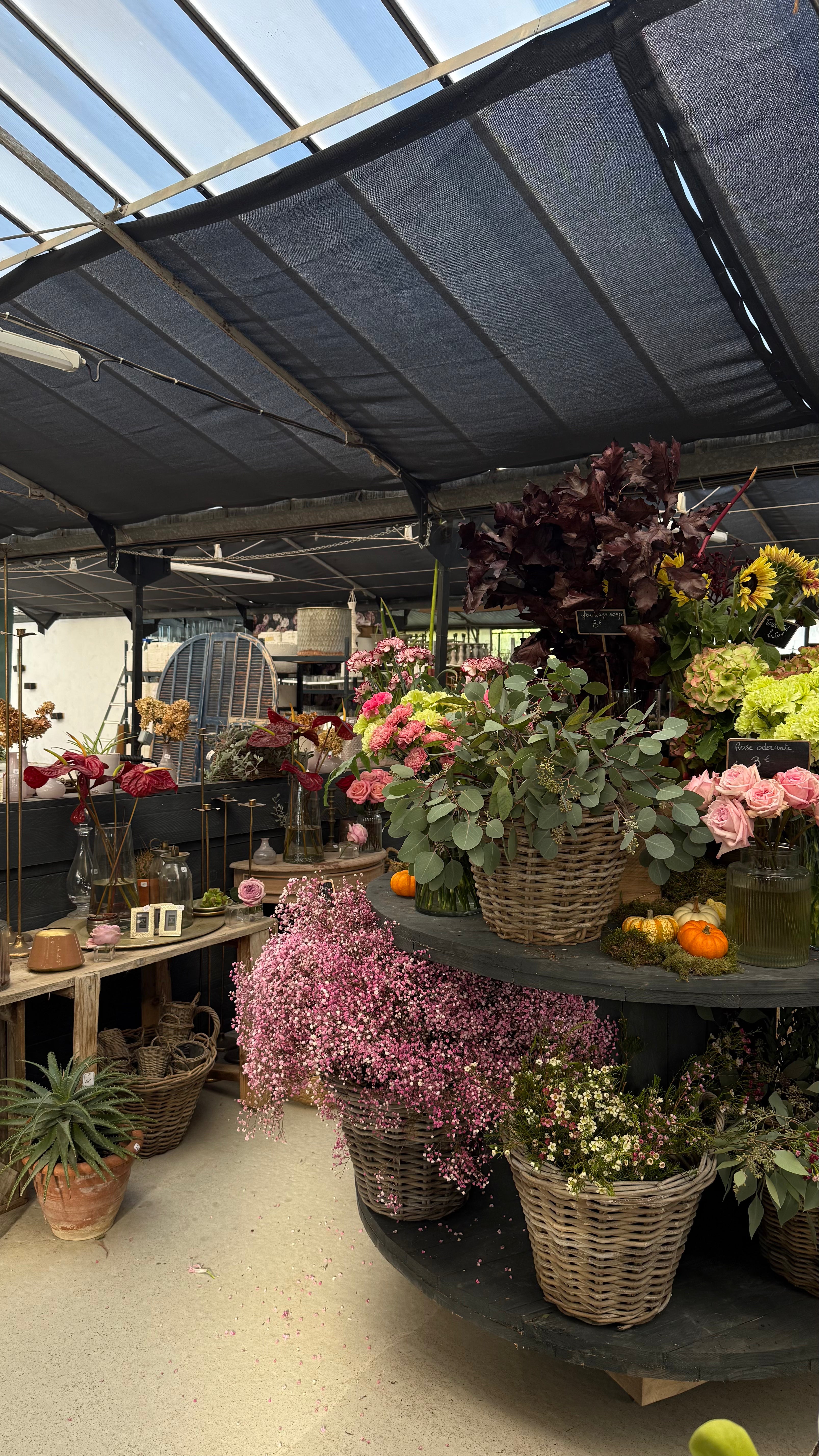 "sous le souffle des fleurs" x L'art qui pousse