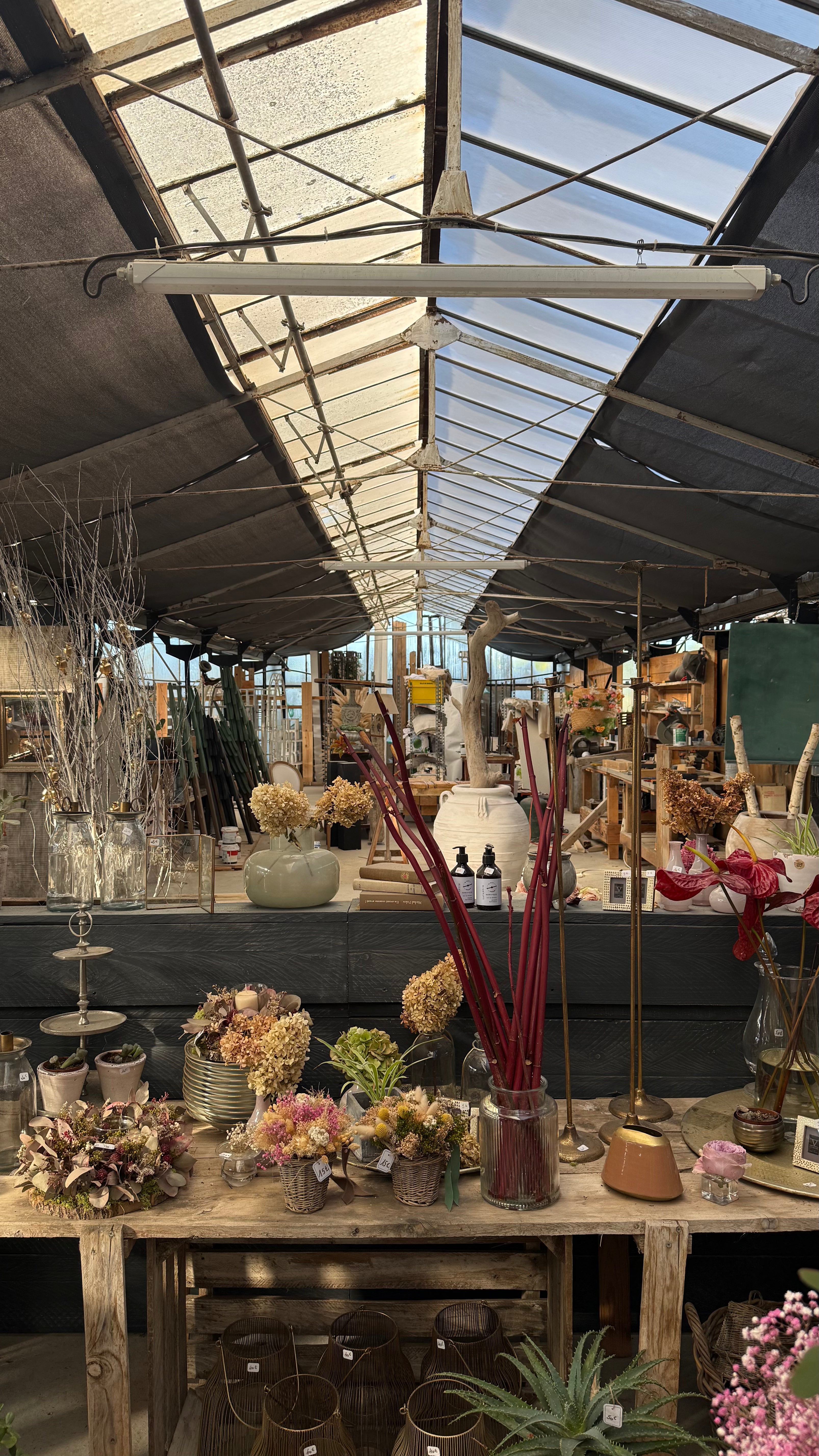 "sous le souffle des fleurs" x L'art qui pousse