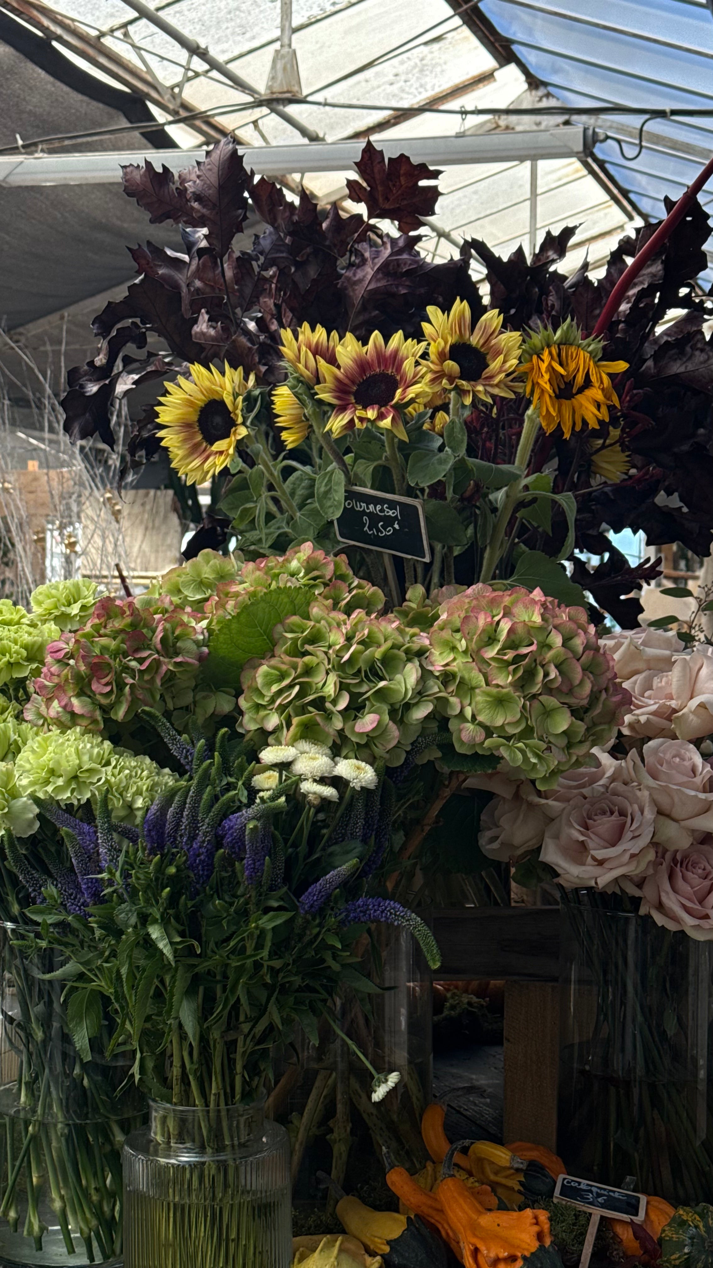 "sous le souffle des fleurs" x L'art qui pousse