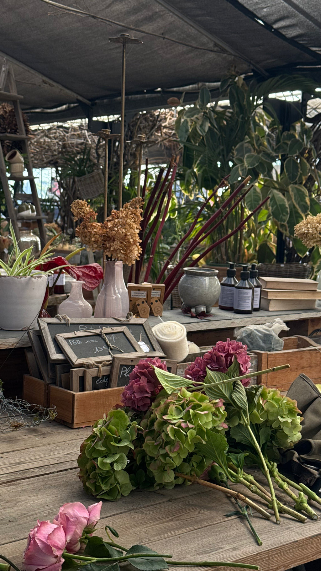 "sous le souffle des fleurs" x L'art qui pousse