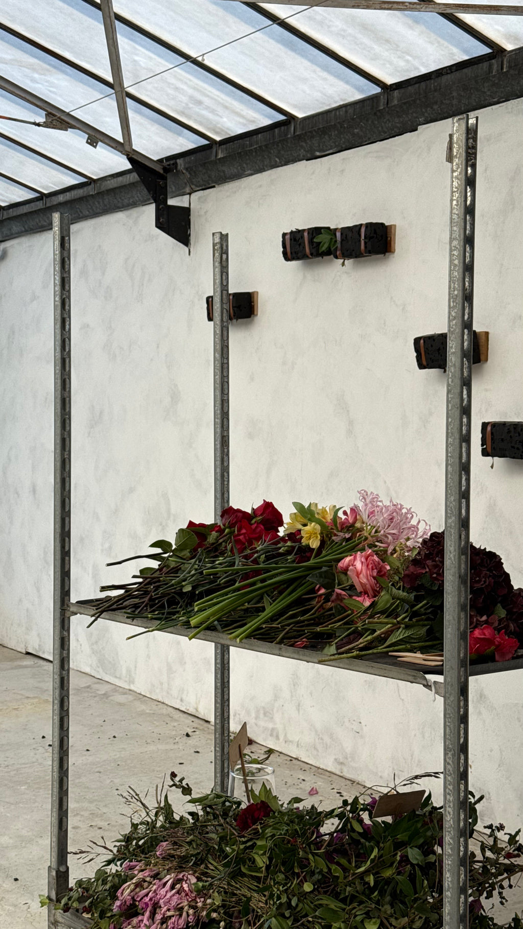 "sous le souffle des fleurs" x L'art qui pousse