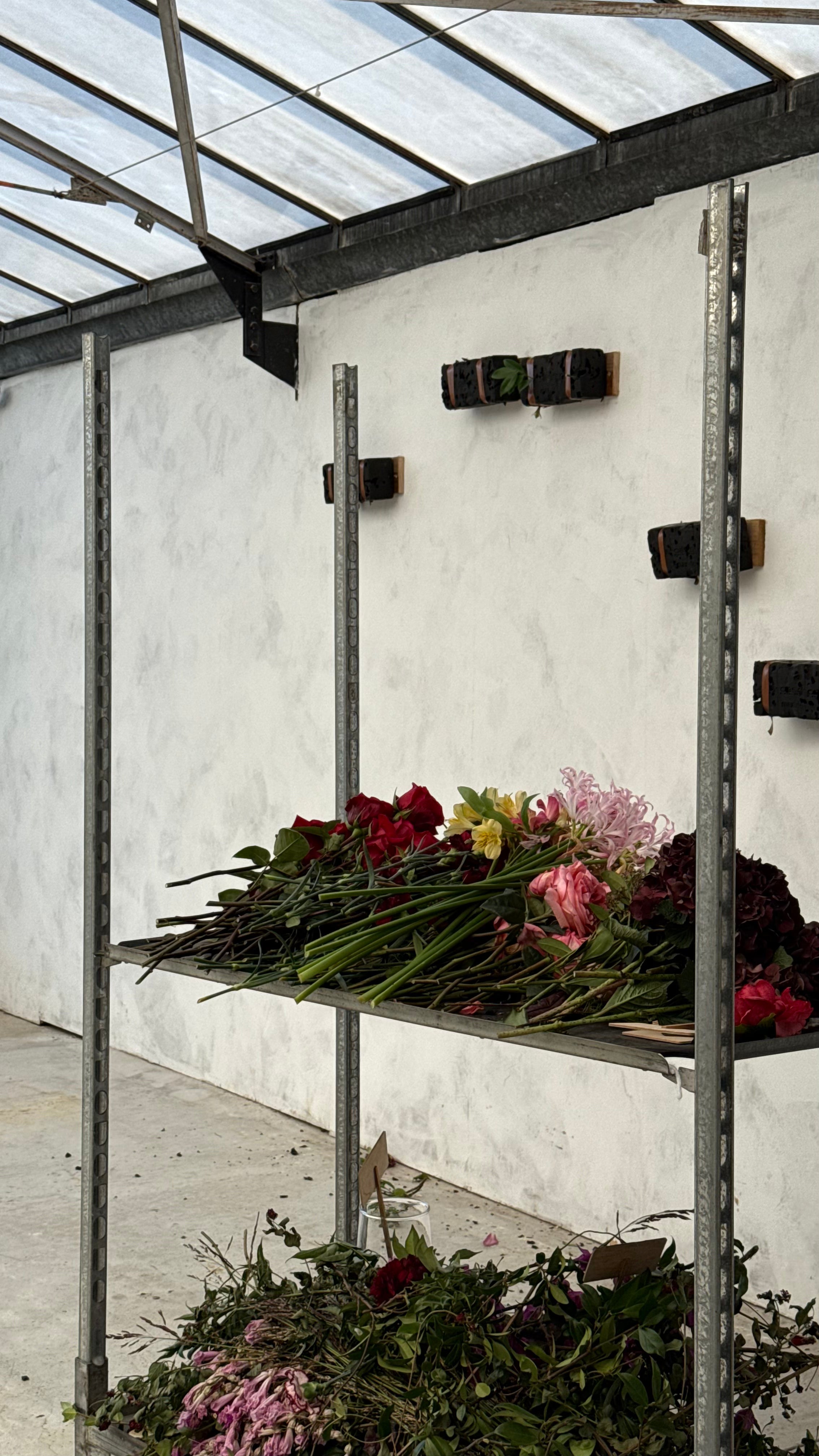 "sous le souffle des fleurs" x L'art qui pousse