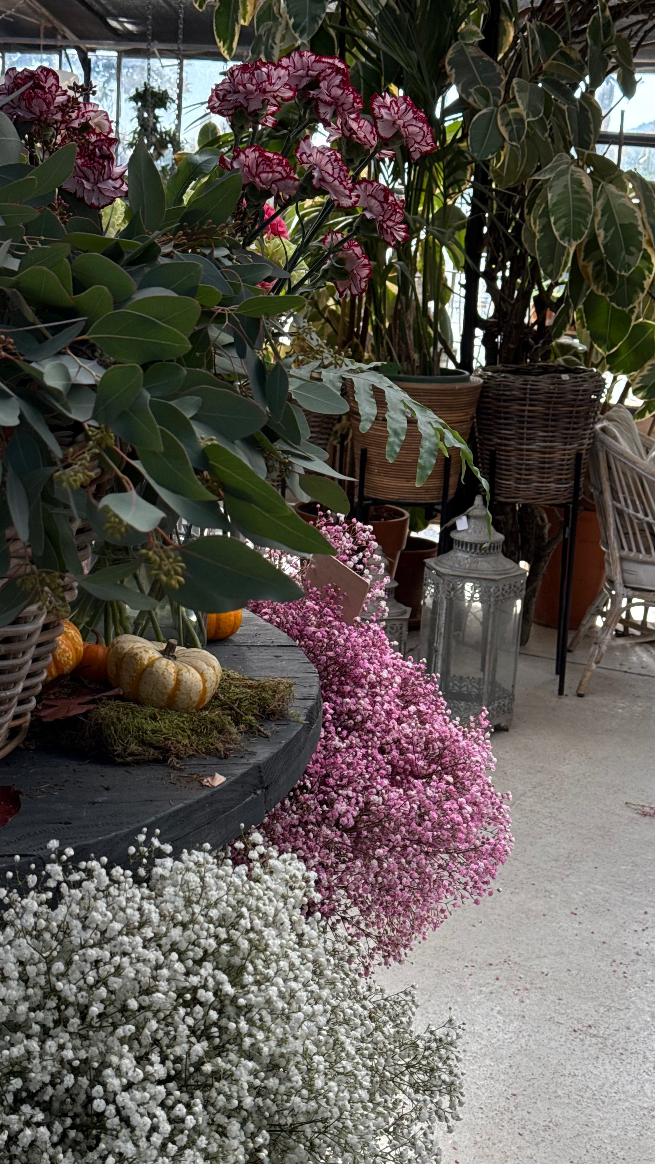 "sous le souffle des fleurs" x L'art qui pousse