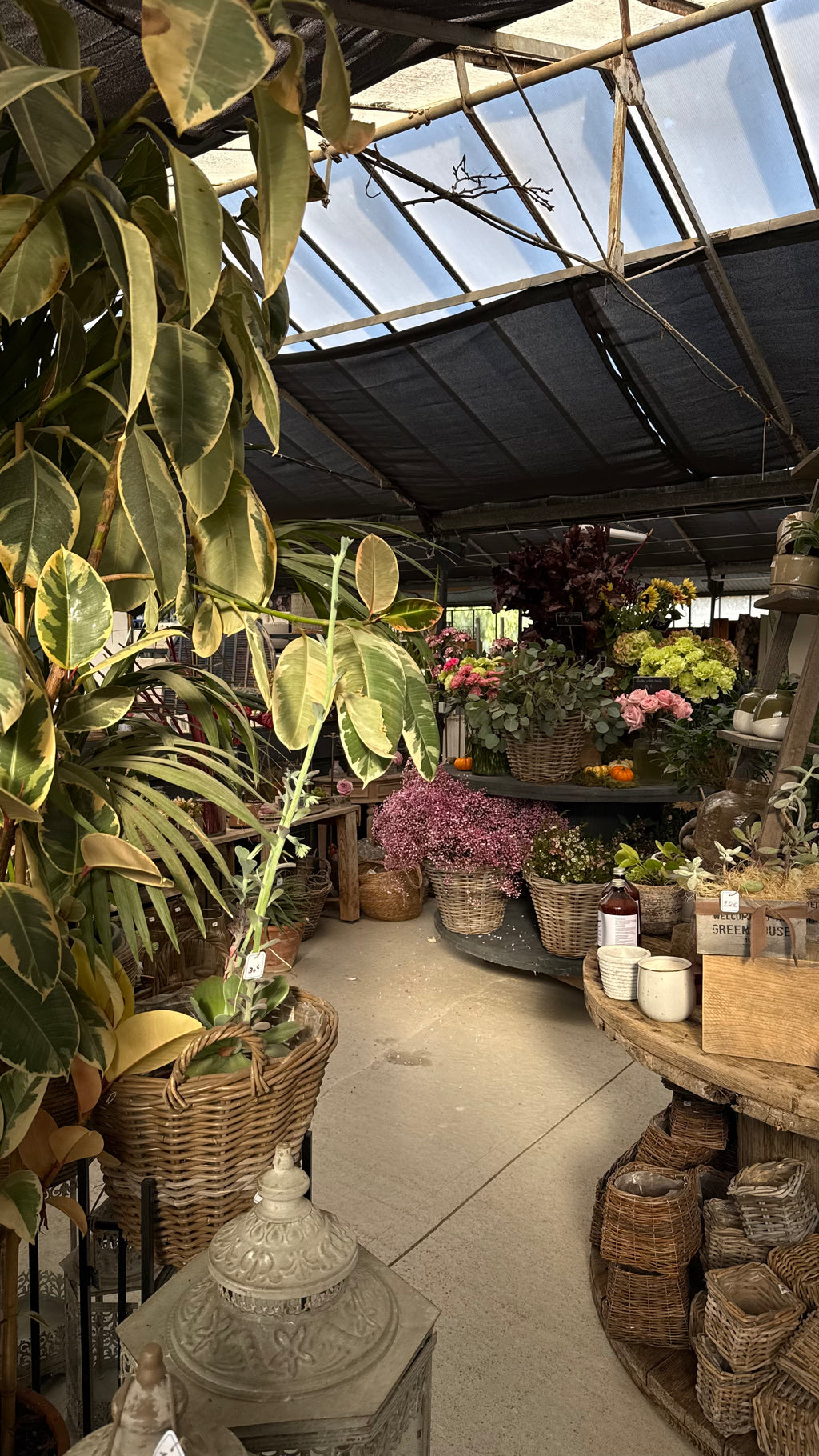 "sous le souffle des fleurs" x L'art qui pousse