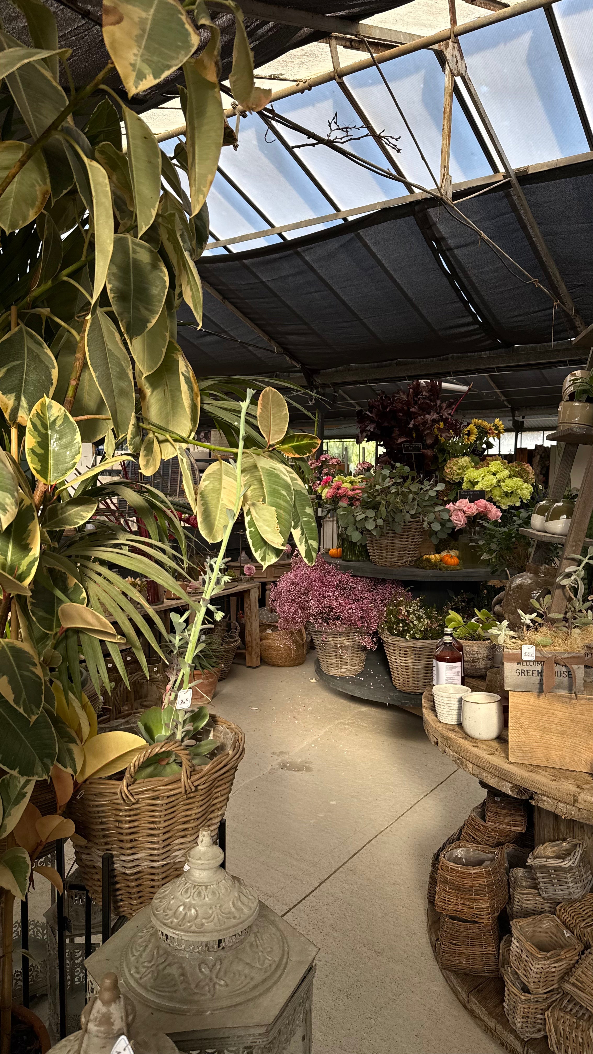 "sous le souffle des fleurs" x L'art qui pousse