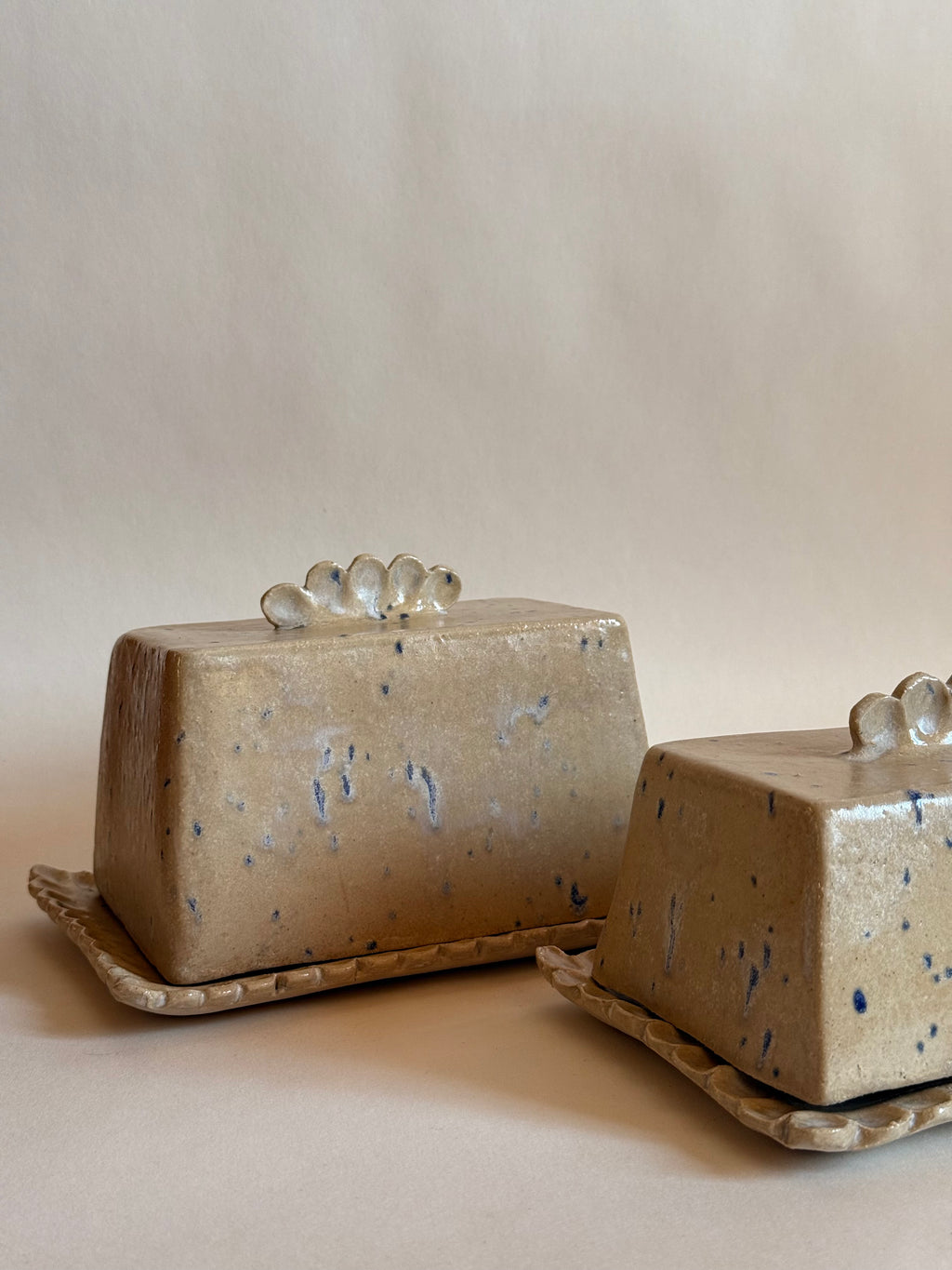 Dentelles - Beurrier Blanc