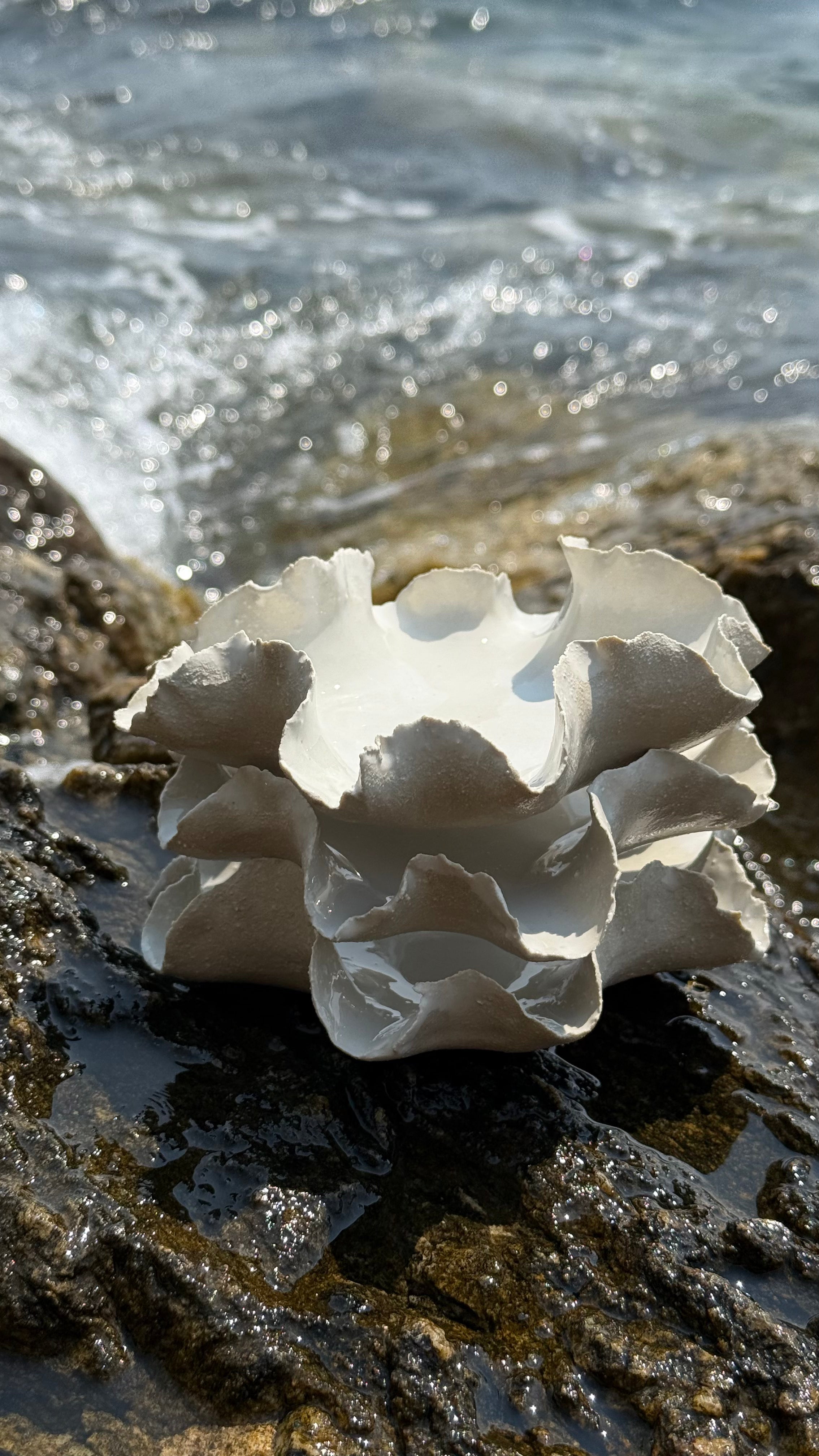 Coupelle « Anémone » - Grès blanc