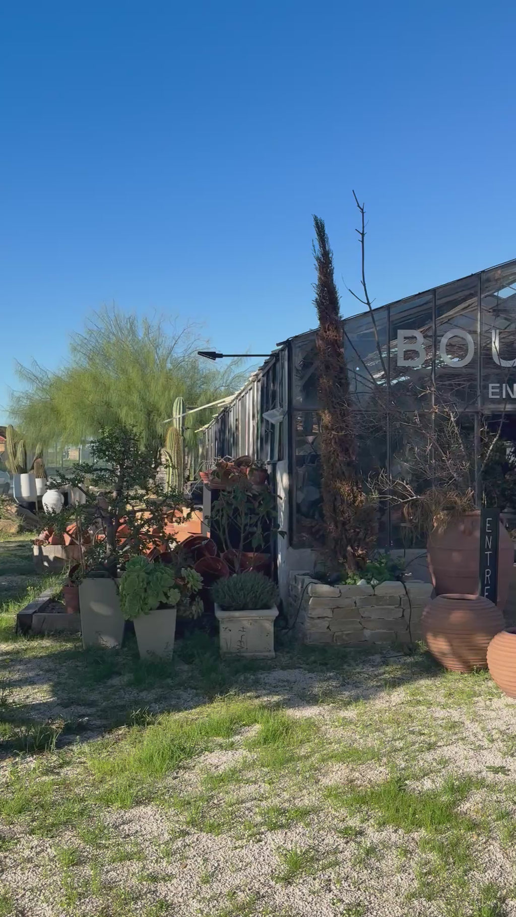 "sous le souffle des fleurs" x L'art qui pousse