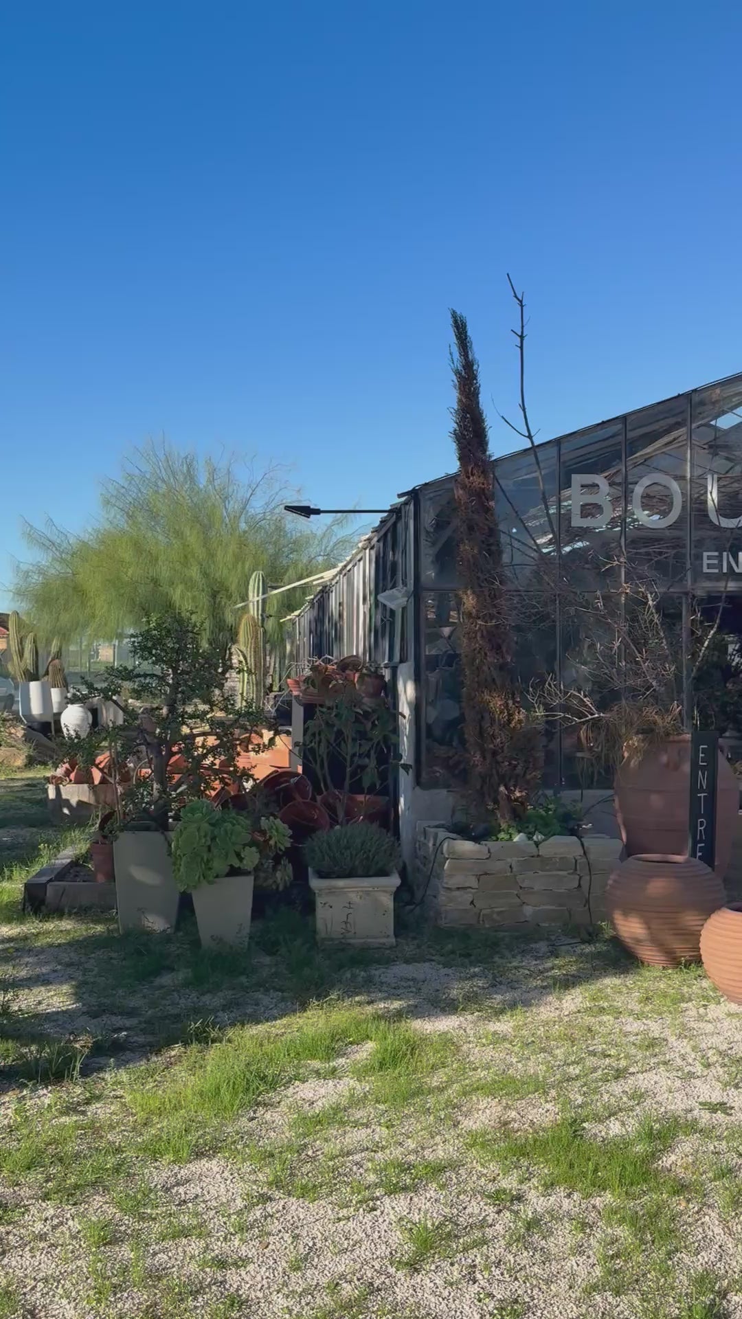 "sous le souffle des fleurs" x L'art qui pousse