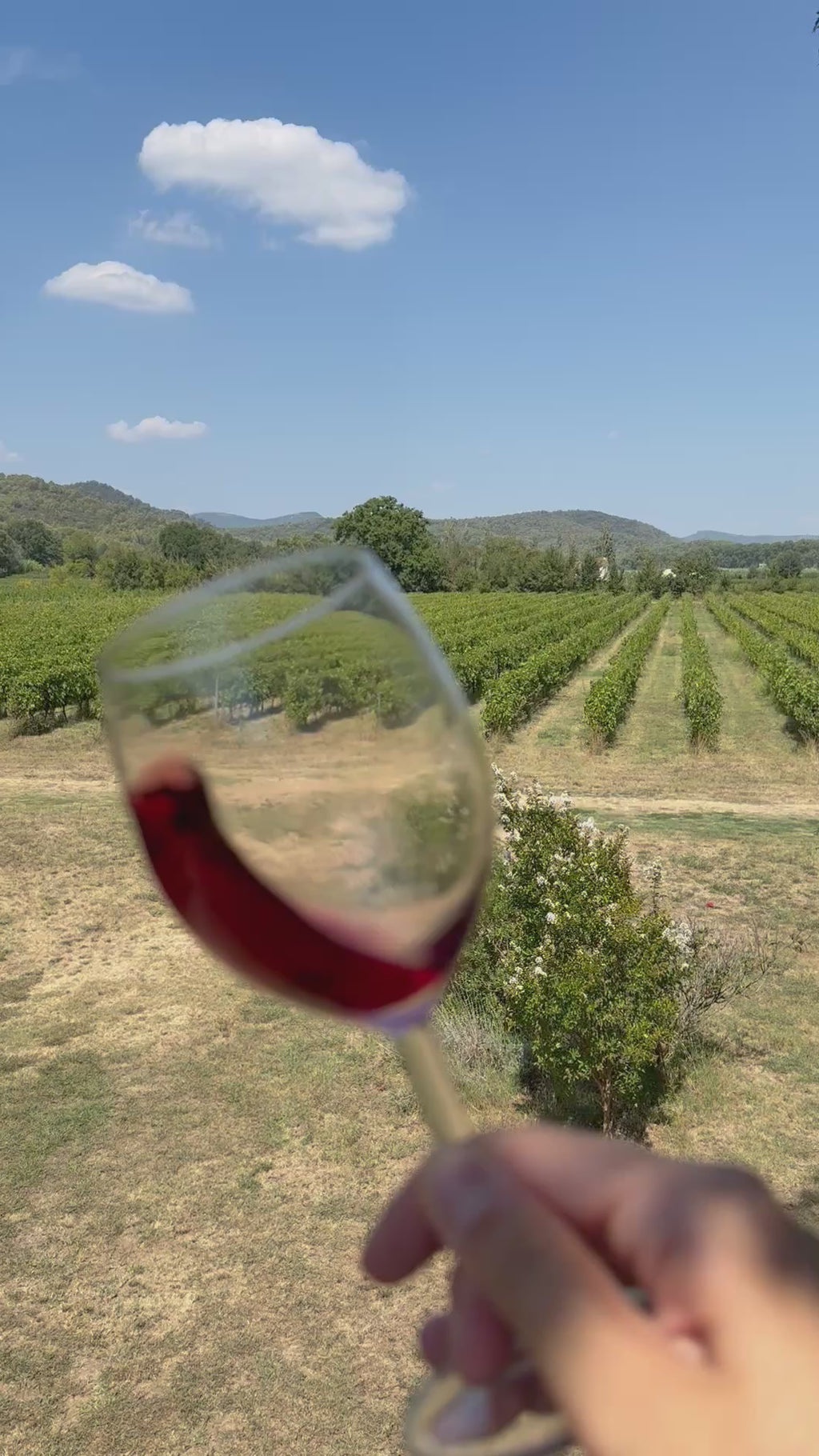 ATELIER TERRE & VIN DANS LA CABANE PERCHÉE ✨🍇